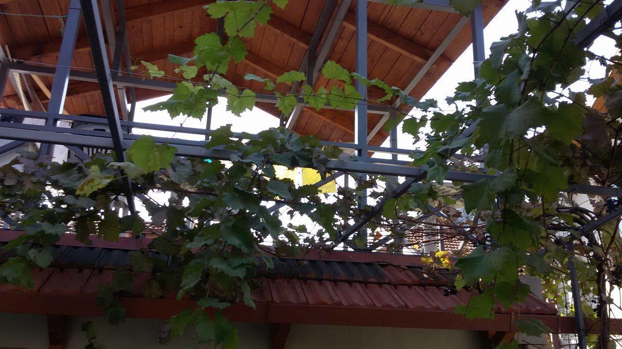 Guesthouse 26 Mtsʼkhetʼa Exterior foto